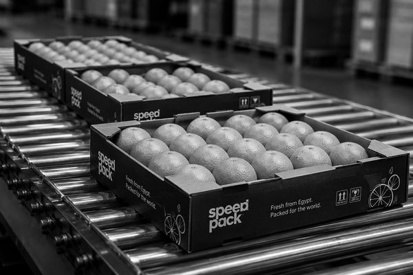 Speedpack-branded export trays of oranges on a roller conveyor